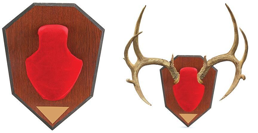 Allen Antler Mounting Kit – Red Skull