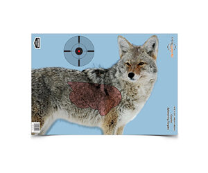 B/C PREGAME COYOTE TGT 3-16.5X24