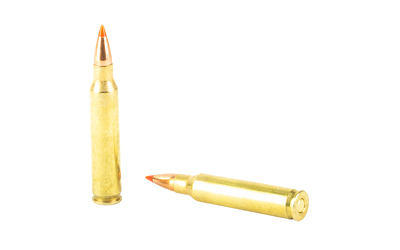 HRNDY 223REM 55GR VMAX 20/200 - Image 4