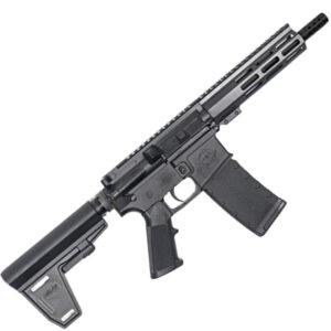 223WYLDE PSTL W/BRC 30RD BLK