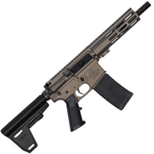 223WYLDE PSTL W/BRC 30RD TNG