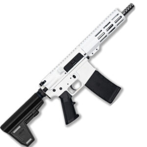 223WYLDE PSTL W/BRC SS 30R WHT