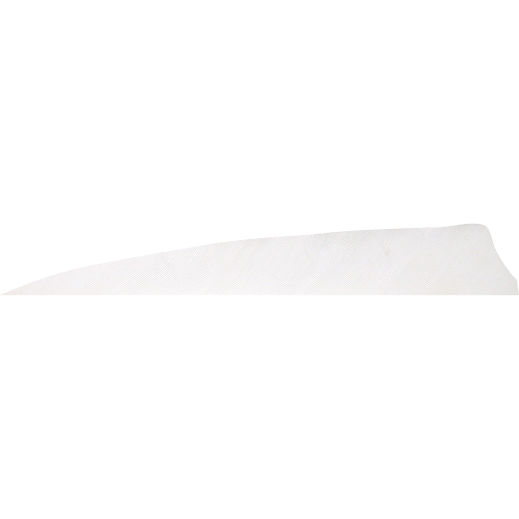 Gateway Shield Cut Feathers Flo White 4 in. LW 50 pk.