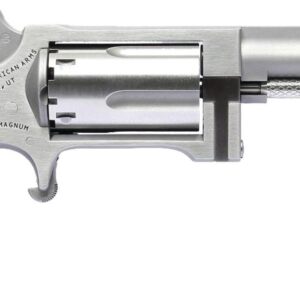 NAA SIDEWINDER 2.5" BRL 22M/22LR MINI REV