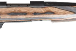 WBY VANGUARD SPIKE CAMP 223REM 20 THRD