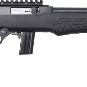 BRZ ROSSI RS22 22LR 18B TB PIC
