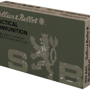 SB 300BLK 124GR FMJ 20/50