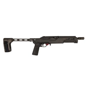 Franklin Armory F22 Binary Pistol .22 LR 10rd Magazine 8" Threaded Barrel Hogue SB Tactical Chassis W/Brace