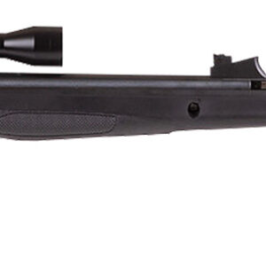 Beeman 1061622 Air Rifle Combo 22