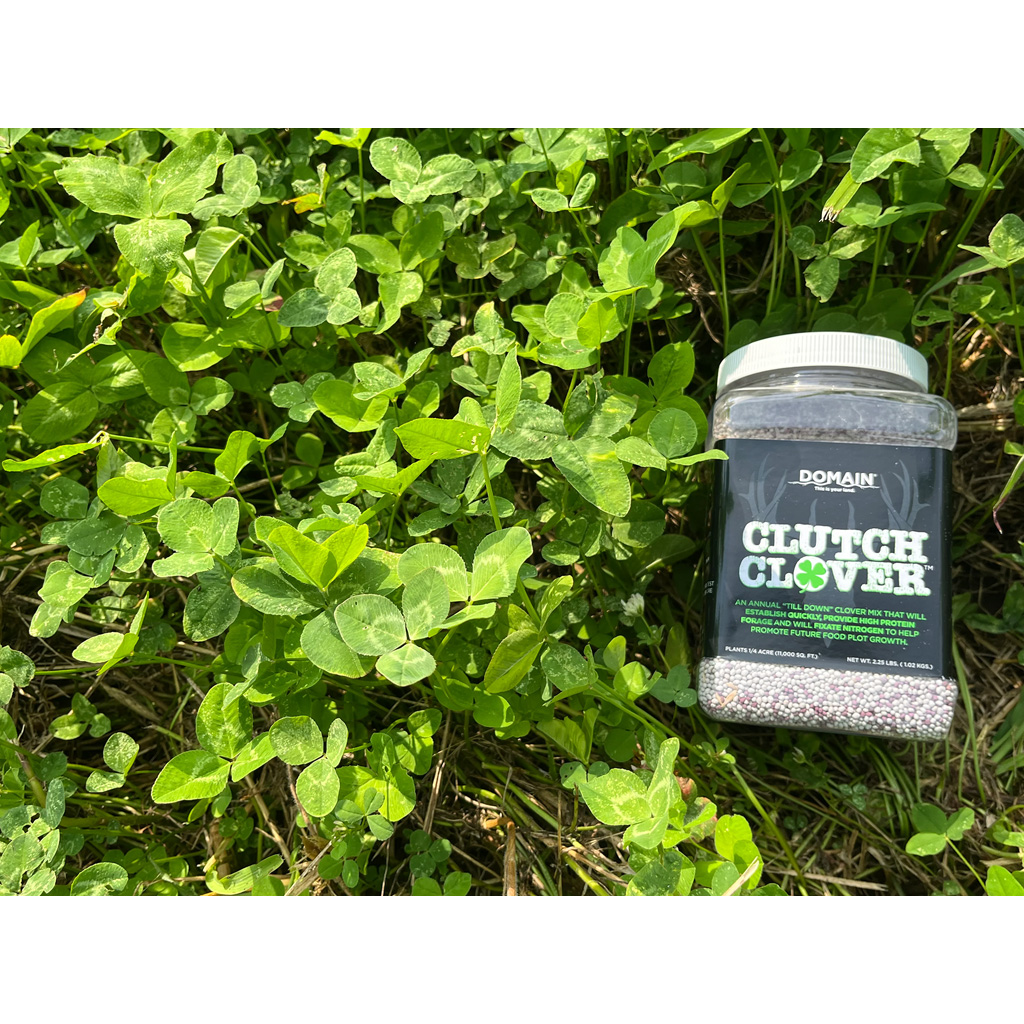 Domain Clutch Clover Seed 1/4 Acre - Image 3