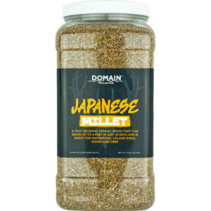 Domain Japanese Millet Seed 1/4 Acre