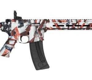 M&P15-22 Sport 22LR 16.5" MLOK Flag 25rd