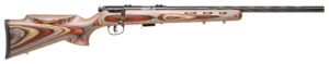 SAV 93BRJ 22WMR