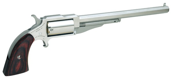 NAA 22LR/M 1860 HOGLEG