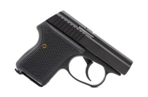 SEECAMP LWS-32 2" 32ACP BLK 6RD CA