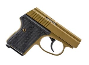 SEECAMP LWS-380 2" 380ACP MOLIVE 6