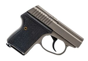 SEECAMP LWS-380 2" 380ACP GMGREY 6