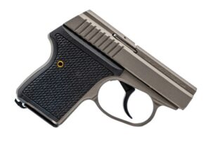 SEECAMP LWS-32 2" 32ACP GMGREY 6R