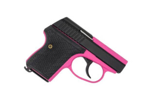 SEECAMP LWS-32 2" 32ACP PINK SHRBT