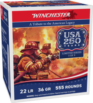 WINCHESTER 22LR 36GR PLATED HP - 1280FPS 555RD 10BX/CS 250TH AN