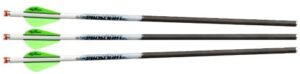 Excalibur Proflight 18" Illuminated Arrows - 3 Pack