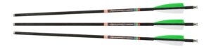 30-06 UFO Lighted Moon Nock 20" 3-Pack for Archery