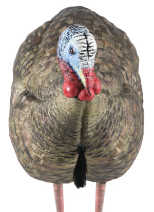 Avian X AVXAVX8012 LCD Half-Strut Jake Turkey Decoy