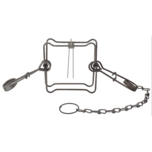 Duke Body Grip Trap No. 160 for Raccoons and Groundhogs