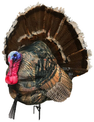Montana Decoy TKY Wiley Tom 3D Strutter Decoy