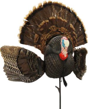 MOJO Scoot N Shoot Max Turkey Decoy - Ultimate Hunting Tool