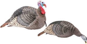 HS Strut Turkey Decoy Combo - Hen & Jake Strut-Lite