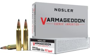 Nosler .223 Rem 53gr Varmint FBT Ammo - 20 Rounds