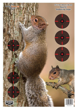 Birchwood Casey Pregame Squirrel Paper Rifle Targets - 8 Pack