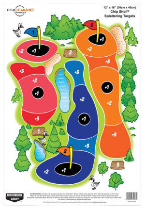 Birchwood Casey Pregame Self-Adhesive Shooting Targets - 8 Pack