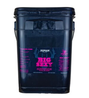 DOMAIN BSFP34 Big Sexy Game Feed