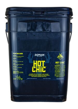 DOMAIN HCFP34 Hot Chic Game Feed