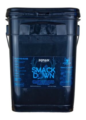DOMAIN SDFP3 Smack Down Game Feed