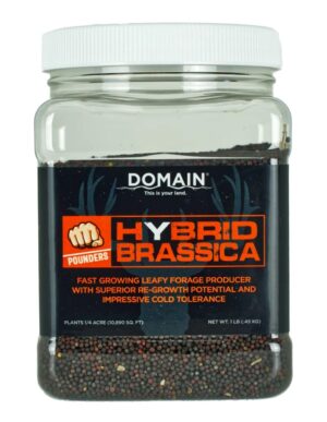 DOMAIN DHBS1LB Pounder - Hybrid Brassica Game Feed