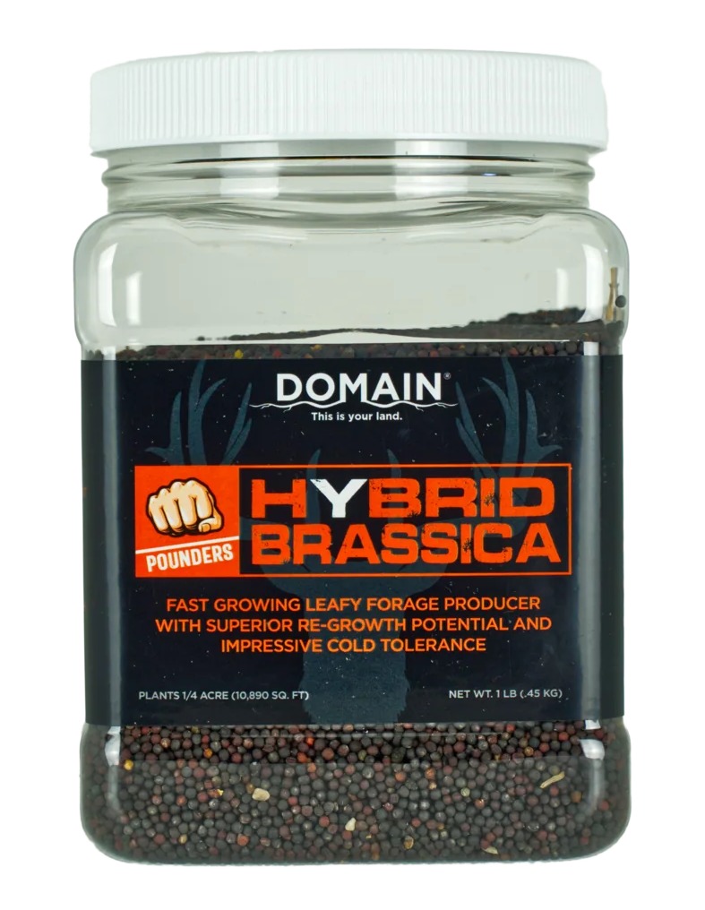 DOMAIN DHBS1LB Pounder - Hybrid Brassica Game Feed