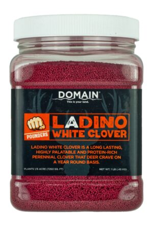 DOMAIN DLWCS1LB Ladino White Clover Seed