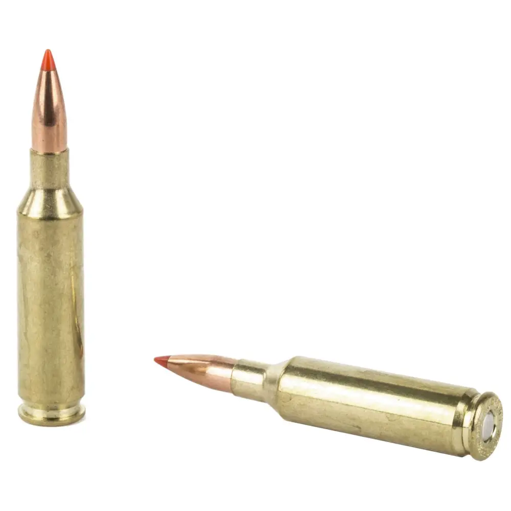 Hornady Varmint Express 6mm Creedmoor 87gr VMAX Ammo - Image 3