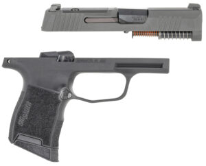 Sig Sauer P365 Caliber Exchange Kit - 380 ACP