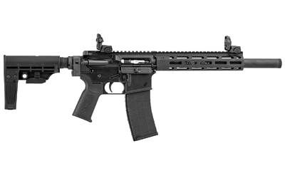TIPPMANN M4-22 BUG OUT ISS 22LR BLK - Image 2